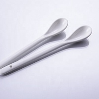 Factory Direct Super White Porcelain Salt Soup Tea Coffee Spoon Set Ceramic Spoon in Bulk