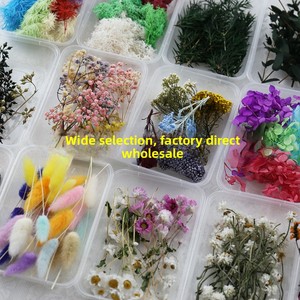 YONGQIN Kit di <span class=keywords><strong>Fiori</strong></span> Essiccati Eterni per Resina Epossidica, Materiali per Creazione di Candele e Cornici Fotografiche Fai-da-Te - Product Image 2