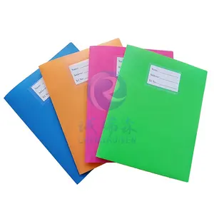 Cartelle di File allegri di colore chiaro con cartelle di tasche include etichette per la scuola o l'ufficio