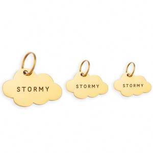 Joyería Personalizada de Alta Calidad al por Mayor con Grabado del Nombre de tu Mascota, Chapado en Oro de 18k, Acero Inoxidable, Placa de Identificación para Mascotas en Forma de Nube - Product Image 4