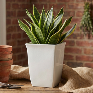 Modern Minimalist Tall Square Planter <b>Pot</b> OEM Logo <b>White</b> Color For Home & Garden, Office Decor, Landscape Projects - Product Image 3