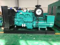 Cummins Professional 60Hz 100kw Generador silencioso diésel Arranque automático con ATS Rentable y ahorro de energía Fácil mantenimiento