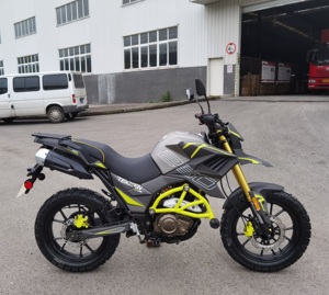 CHINA <strong>MOTORCYCLES</strong> <strong>250CC</strong> <strong>MOTORCYCLE</strong> FUEGO <strong>TEKKEN</strong> 250 No.22060601 - Product Image 2