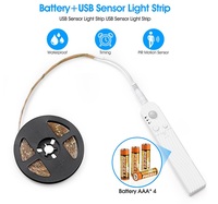 2835 barre lumineuse d'armoire de détection humaine intelligente IP65 5V bande lumineuse LED avec boîte de batterie chambre capteur de mouvement PIR bande lumineuse douce