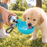 Bouteille d'eau portable 2-en-1 pour chien, 10 oz, en acier inoxydable 304, avec bol surélevé pliable en silicone et couvercle à sangle pour la promenade en extérieur