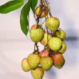 Acheter chinois frais litchi litchi litchi lichi fruits frais prix (Fi <span class=keywords><strong>tsz</strong></span> siu) - Product Image 3