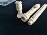Jisaiersi — enregistreur en plastique ABS pour enfants et adultes, instrument de musique de bonne qualité, Soprano, marque allemande, bon prix