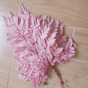 <span class=keywords><strong>Felce</strong></span> sbiancata in <span class=keywords><strong>felce</strong></span> di lunga durata per la decorazione - Product Image 5