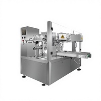 Machine de remplissage de liquides et de granulés pour sacs préformés autoportants, ensacheuse alimentaire, machine d'emballage de poudre 380V 1500kg