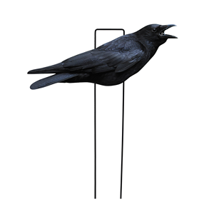 Décoys de chasse aux corbeaux en PP entièrement floqués, anti-reflet, imperméables, ultra-réalistes, fabriqués en usine (OEM/ODM) – Silhouettes d'oiseaux pour la chasse - Product Image 3