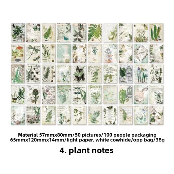 Notas de D Plant blanco