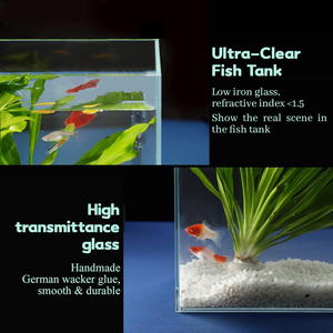 Ultra Clear Glass <strong>Aquarium</strong> Tank Rimless Low Iron <strong>Aquarium</strong> 4mm 5mm 6mm Desktop &amp; Living Room <strong>Ecosystem</strong> Fish Tank - Product Image 3