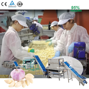 Komple Set endüstriyel sarımsak soyma makinesi endüstriyel sarımsak soyma sıralama makinesi üretim hattı - Product Image 1