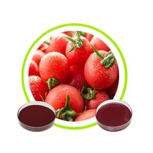 Natural Lycopene 5% 6% 10% Oil Suspension CAS No: 502-65-8 with Best Price