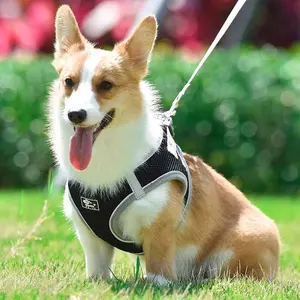 Étape réfléchissante réglable dans le harnais de chien pour les petits chiens chiens moyens maille douce confort chien et chat harnais universel avec laisse