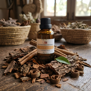 Huile Essentielle Bio de Katrafay de Madagascar, Huile d'Aromathérapie Pure de Cèdre (Cedrelopsis Grevei) à Base d'Écorce Boisée - Product Image 1