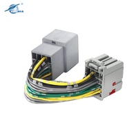 Arnés de cableado de ventanilla eléctrica personalizado con control remoto inalámbrico BCM automotriz