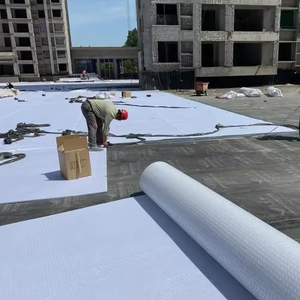 Géotextiles en plastique de panneau de vidange de fossette de HDPE de haute qualité pour l'application ferroviaire <span class=keywords><strong>prix</strong></span> de gros fourni - Product Image 3