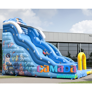 Glissière sèche extérieure en PVC de qualité commerciale glissière sèche humide gonflable géante sèche/humide glissières à double voie gonflables - Product Image 5