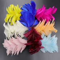 Teint Cock Coque Queue Poulet Coq Plume pour Artisanat DIY Costume Chapeau Accessoire Scène Fête Carnaval Vacances Décor
