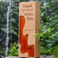Plaque de trophée personnalisable en bois coloré cristal/verre produits avec logo personnalisé pour cadeaux souvenirs