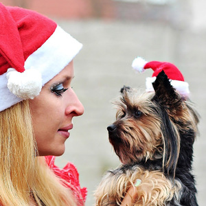 2025 New Christmas Pet <b>Hat</b> for Dog <b>Cat</b> White Think Winter Warming Plush <b>Hat</b> for Pet Custom Pet Dog <b>Hat</b> with String Beanie - Product Image 2