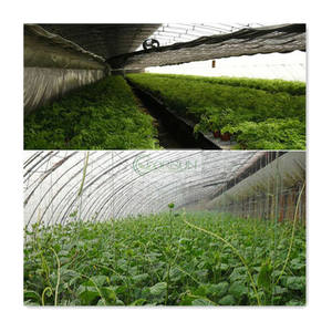 Anufacturer-Juego de reparación de uñas, juego de reparación de clavos, fila de clavos - Product Image 2