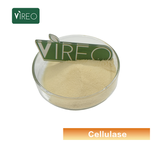 Cellulase de qualité alimentaire, additif alimentaire, enzyme cellulase, additif, directement de l'usine - Product Image 2