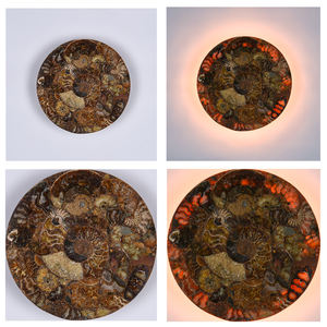 Lámpara de Pared LED con Rebanada de Concha de Amonita Pulida, Diseño Moderno y Minimalista para Decoración de Interiores - Product Image 4