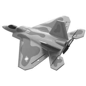 Paisible RC Park Flyer F22 Raptor Easy to Fly Beginner RC Jet Electric Outdoor AA Battery Foam Plane Radio Control Toy 300m 60g