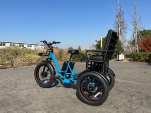 Tricycle électrique cargo à double batterie disponible, 48V 25Ah+20Ah, 24 pouces, 3 roues, pneus larges - Product Image 3