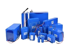 Harga pabrik baterai Lithium ion 24V 36V 48V 60V 72V 10Ah 20ah 30ah 50ah 60Ah 100AH baterai Lithium ion 48v baterai lifepo4