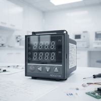 Contrôleur de température intelligent pour four REX C100 RKC avec alarme, double sortie relais ou SSR, en plastique, prix usine OEM/ODM