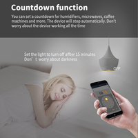 Interrupteur mural intelligent WiFi SIXWGH, commande vocale, compatible Alexa et Google Assistant, minuterie, compte à rebours, surveillance de la consommation d'énergie, mémoire des paramètres.