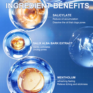 Shampooing Hydratant Anti-Frisottis & Lissant Nettoyant en Profondeur Réparateur & Hydratant Bio pour Hommes <span class=keywords><strong>Cheveux</strong></span> Abîmés - Product Image 3