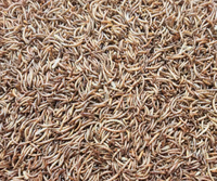 Vente en gros, pièces, médicaments secs, pour poisson oiseaux, animaux domestiques, bon marché