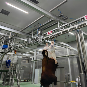 Équipement d'abattage en acier inoxydable, ligne d'abattage de bétail complète, équipement clé en main halal, projet d'abattoir de bovins - Product Image 3