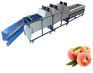Buen valor para el dinero Portadores de frutas para máquinas clasificadoras Máquina clasificadora de lavado de frutas Equipo de clasificación de frutas - Product Image 3