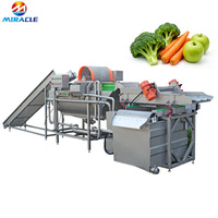 Laveuse de mangues, laveuse de fraises, laveuse de cerises, machine de nettoyage de fruits