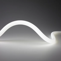 Flexible 360 °   Tube néon flexible 3D IP67 étanche 24V pour intérieur, extérieur, bar, maison, café, cinéma, musée