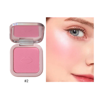Palette de fard à joues de maquillage cosmétique minéral de marque privée poudre pressée avec ingrédients de marque privée mats chatoyants