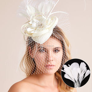 Offre Spéciale naturel 5 9 pouces teint dépouillé oie Nagoire plumes oie <span class=keywords><strong>Biot</strong></span> plumes pour carnaval vêtements décoration - Product Image 6