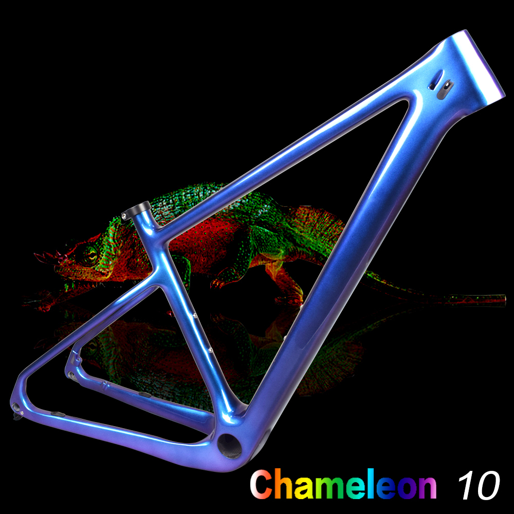 Camaleón 10
