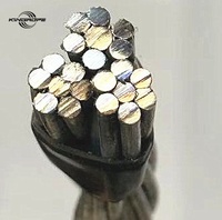 Câble en acier galvanisé électro à haute teneur en carbone pour le processus de pliage Grade 6x19 + IWRC 35*7 enduit de plastique