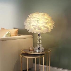 Lampe de table en plumes de style nordique moderne pour les jeunes femmes, décoration d'intérieur, cristal, respectueuse des yeux, ambiance chaleureuse, lampe de chevet décorative - Product Image 2