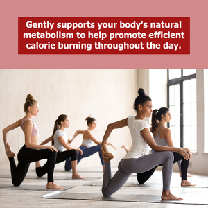 Gomitas para Adelgazar para Mujeres OEM ODM, Favorecen el Metabolismo, Reducen el Apetito, Ayudan a Reducir la Grasa Abdominal y Aumentar la Energía - Product Image 6