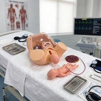 Modèle anatomique avancé pour la formation complète aux compétences de naissance, accouchement fœtal, enseignement en sage-femme, maternité CE/ROHS/ISO