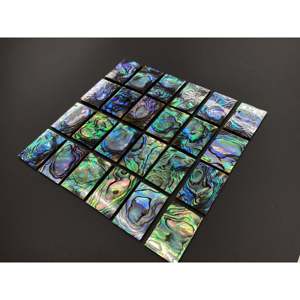Natural <b>Abalone</b> <b>Shell</b> Rectangle 12x16mm Flat For Crystal Decorations - Product Image 3