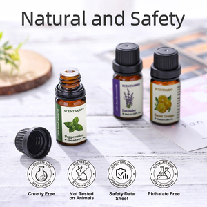 SCENTNARIO Pure <b>Essential</b> <b>Oil</b> <b>Set</b> 6 Bottles 10ml Aromatherapy Lavender Lemon Grass Peppermint Sweet Orange Geranium Sandalwood - Product Image 4