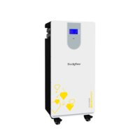 Batterie LiFePO4 5kwh 10kwh 15kwh à décharge profonde 51.2v 200ah 300ah, pack de batteries Powerwall pour système de stockage d'énergie solaire